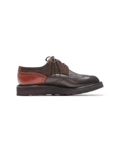 Brogue - Brown Multi Tone Morflex