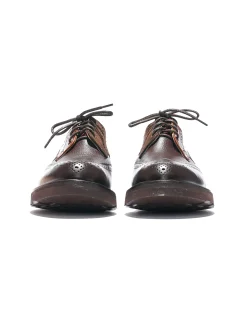 Brogue - Brown Multi Tone Morflex